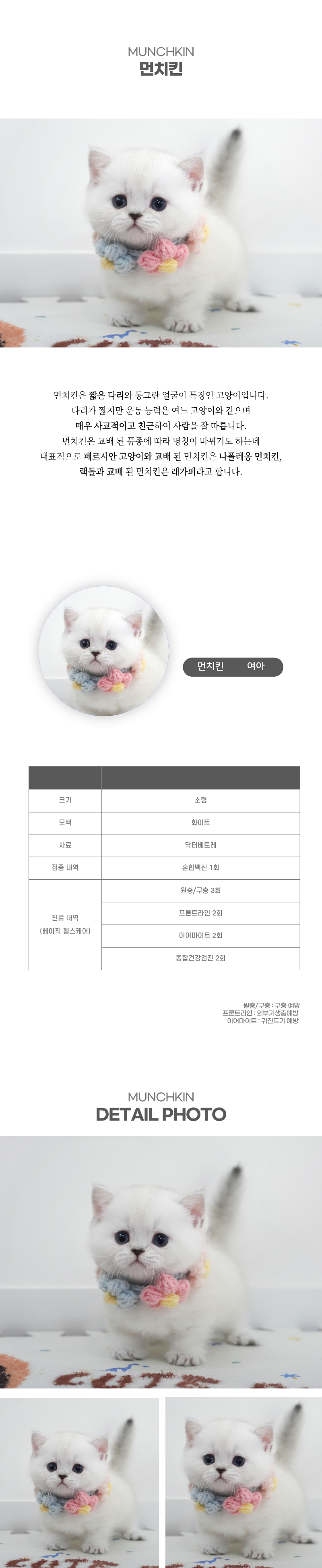 먼치킨_상세이미지_2